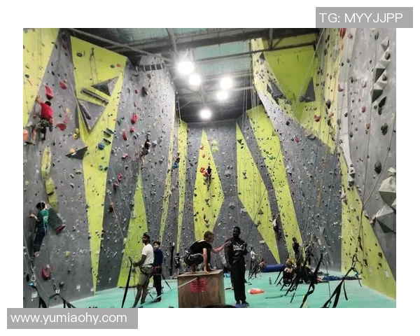 攀岩热潮下的北京攀岩队灵活性转型与发展探讨